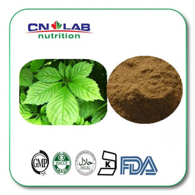 植物提取物-優(yōu)質(zhì)供應商 淫羊藿 淫羊藿單甙 10% 20% 出口品質(zhì)-植物提取物.