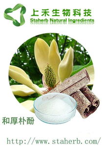 植物提取物出口產品top10