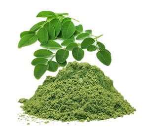 適用于各種產品的多功能辣木植物提取物辣木粉末