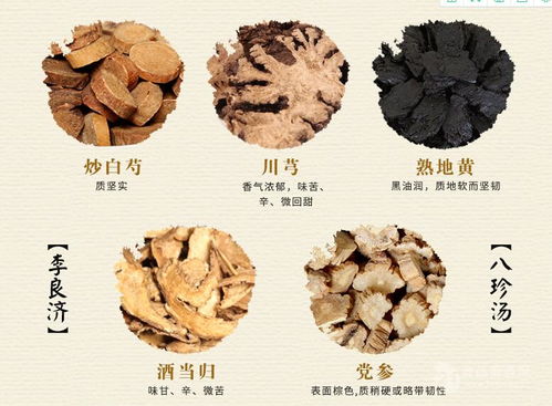 八珍湯提取物 訂制八珍湯提取濃縮液 廠家 訂做批發價格 陜西 斯諾特生物 植物提取物