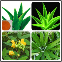 天然原料提取物_粉氨甲苯酸油_蘆薈蝦青素提取物_廠家批發_采購價格 