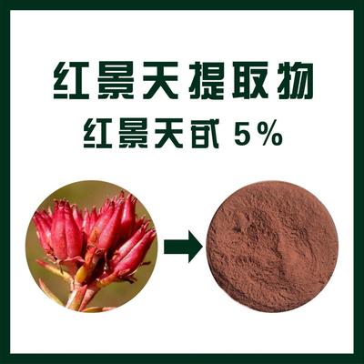 北京洋甘菊提取物生產商