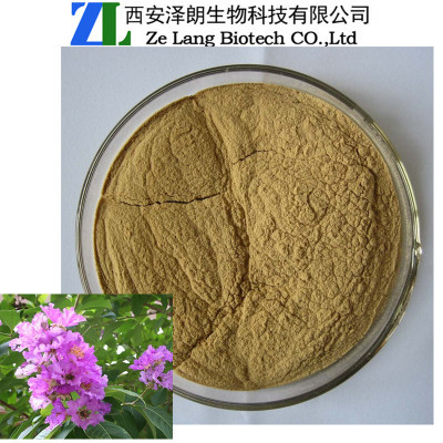 巴拿馬提取物中的科羅索酸 醫(yī)藥級植物提取物的應用與優(yōu)勢