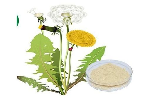 植物提取物加盟 費用構(gòu)成、盈利前景與開店成本解析