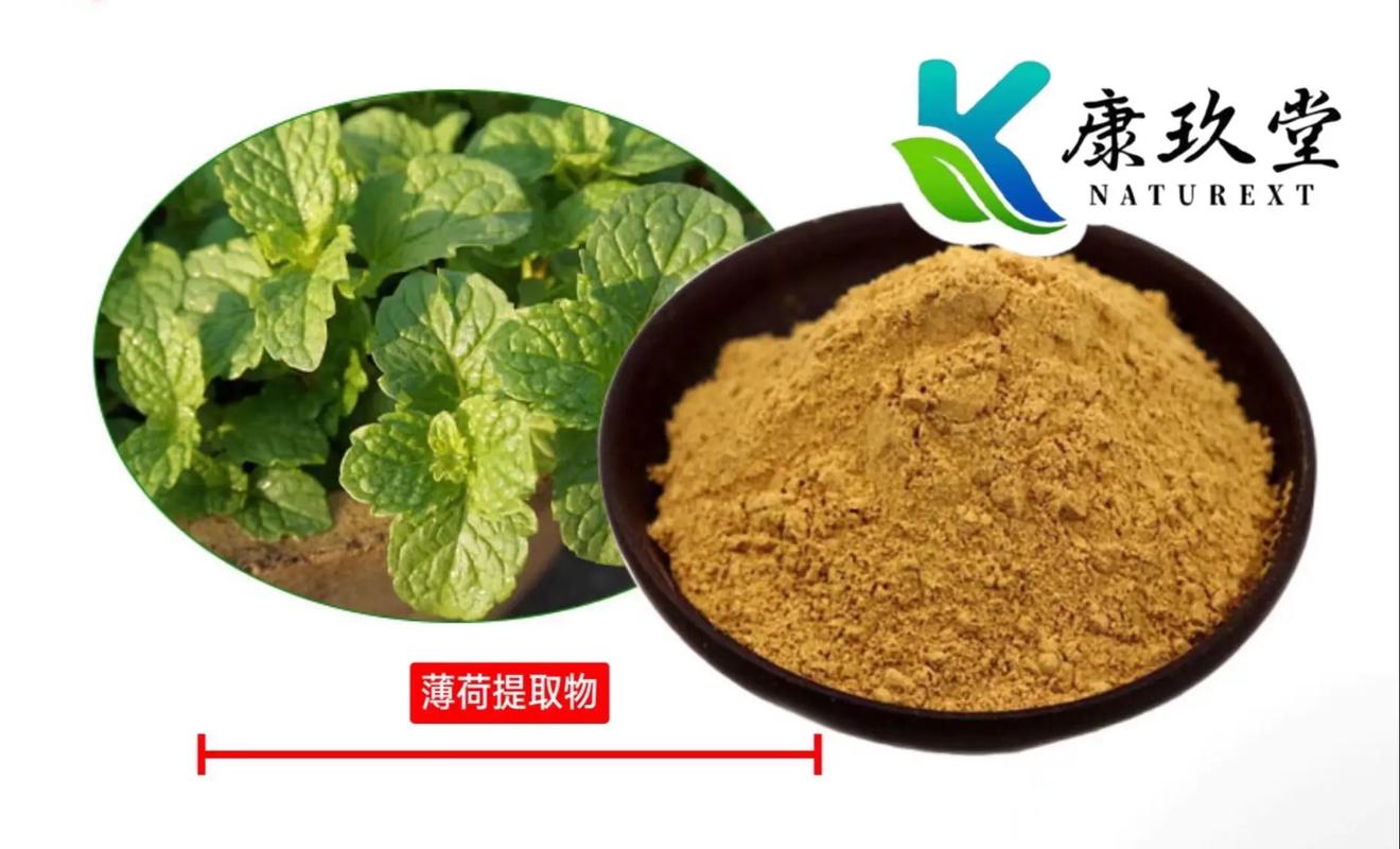 植物提取物 自然饋贈的綠色寶藏